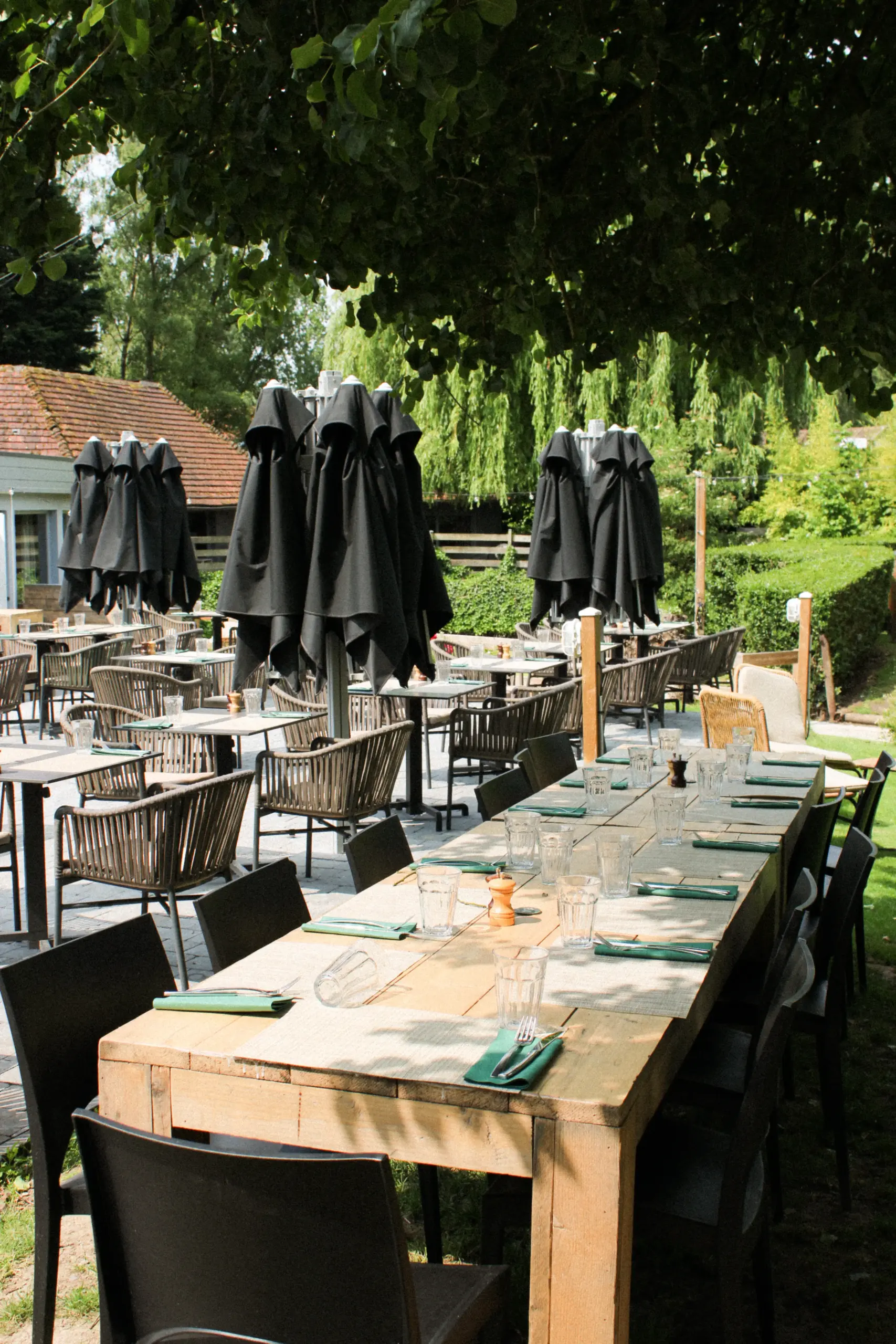 Photo de la terrasse du restaurant La Cabane du Septentrion